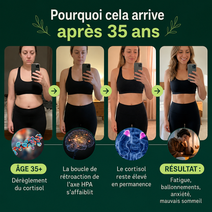 Rhodiola Rosea – Adaptogène naturel fabriqué en France