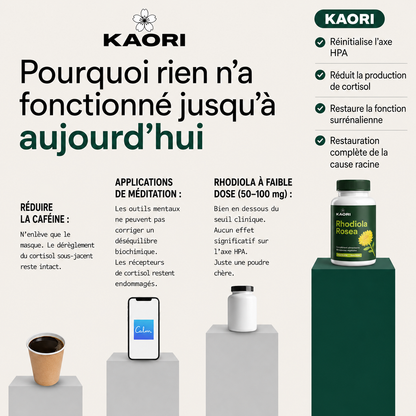 Rhodiola Rosea – Adaptogène naturel fabriqué en France