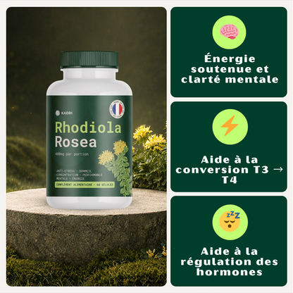 Rhodiola Rosea – Adaptogène naturel fabriqué en France