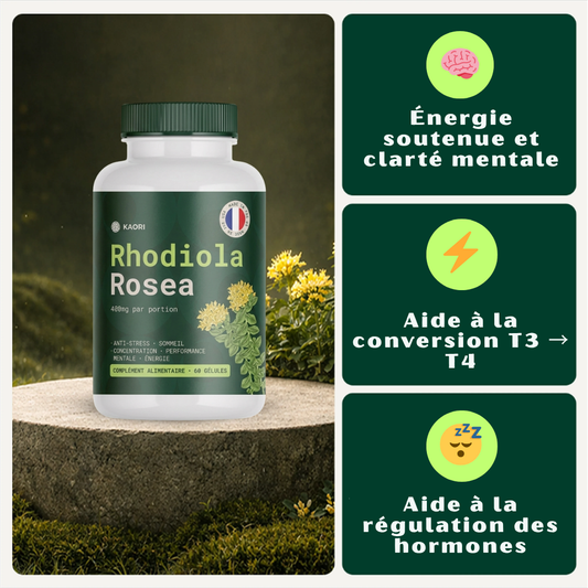 Rhodiola Rosea – Adaptogène naturel fabriqué en France